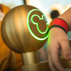 06 Orlando - park pass (fura fila da disney)300(1) free