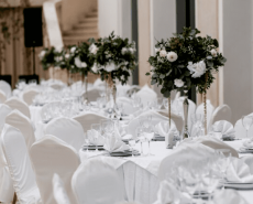 buffet
casal 43
casal 32
casal 37